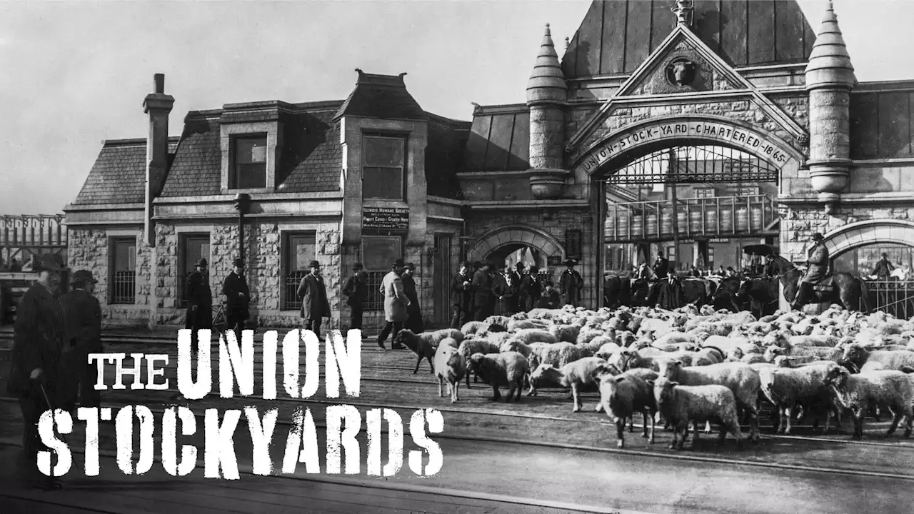 The Union Stockyards | Chicago Stories