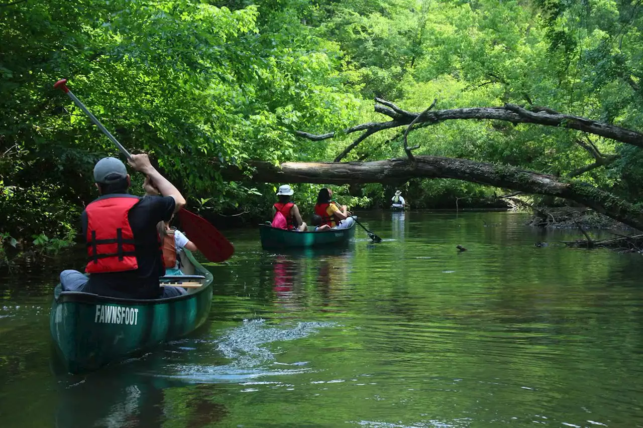 Who owns the Cahaba? Alabama wants to end conservation mandate near reservoir