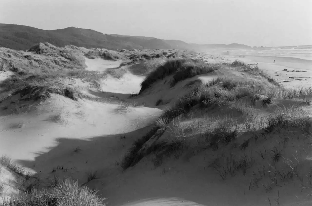 Spotlight: A San Francisco Exhibition Brings Together Five Decades of Robert Adams's Iconic Visions of the American West