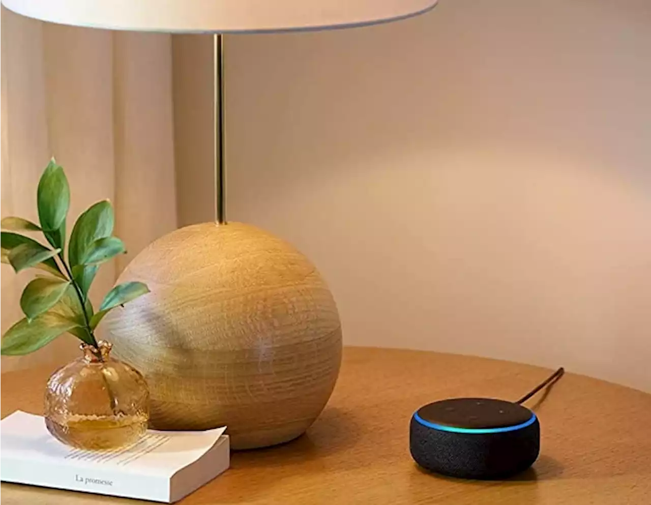 How to Get an Echo Dot Speaker for $0.99