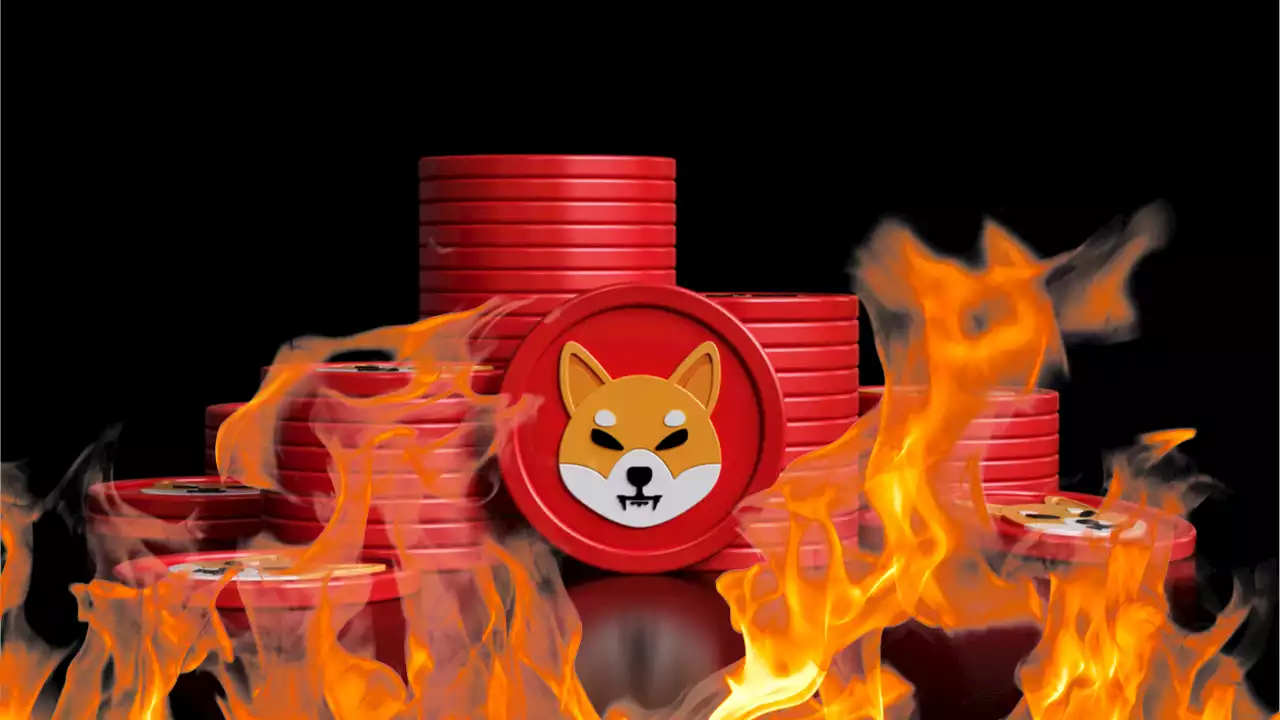 Shiba Inu's New Burn Portal Rewards SHIB Burners for Destroying Their Tokens – Altcoins Bitcoin News