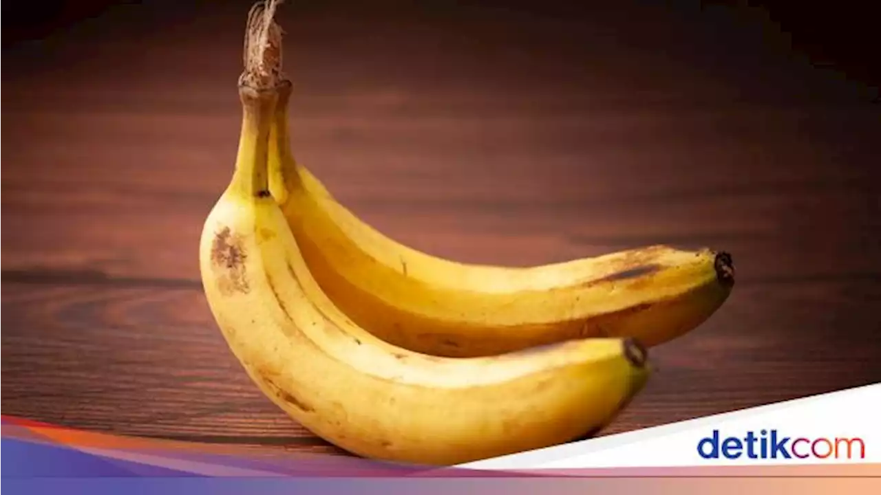 Fakta-fakta Penis Ganda 'Diphallia' Menurut Pengakuan Pengidapnya