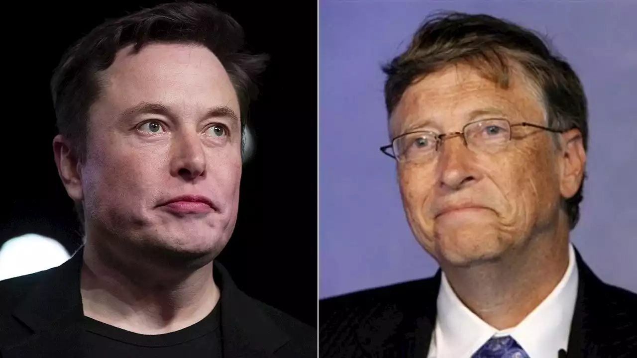 Elon Musk confirms he turned down Bill Gates on climate change collaboration over shorting Tesla