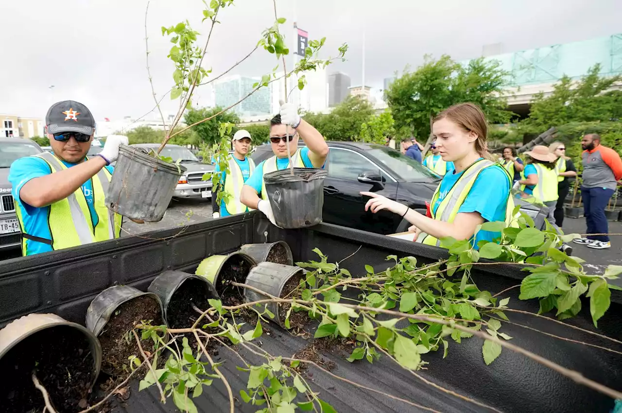 Fans line up for 2,500 trees at Minute Maid Park Earth Day giveaway