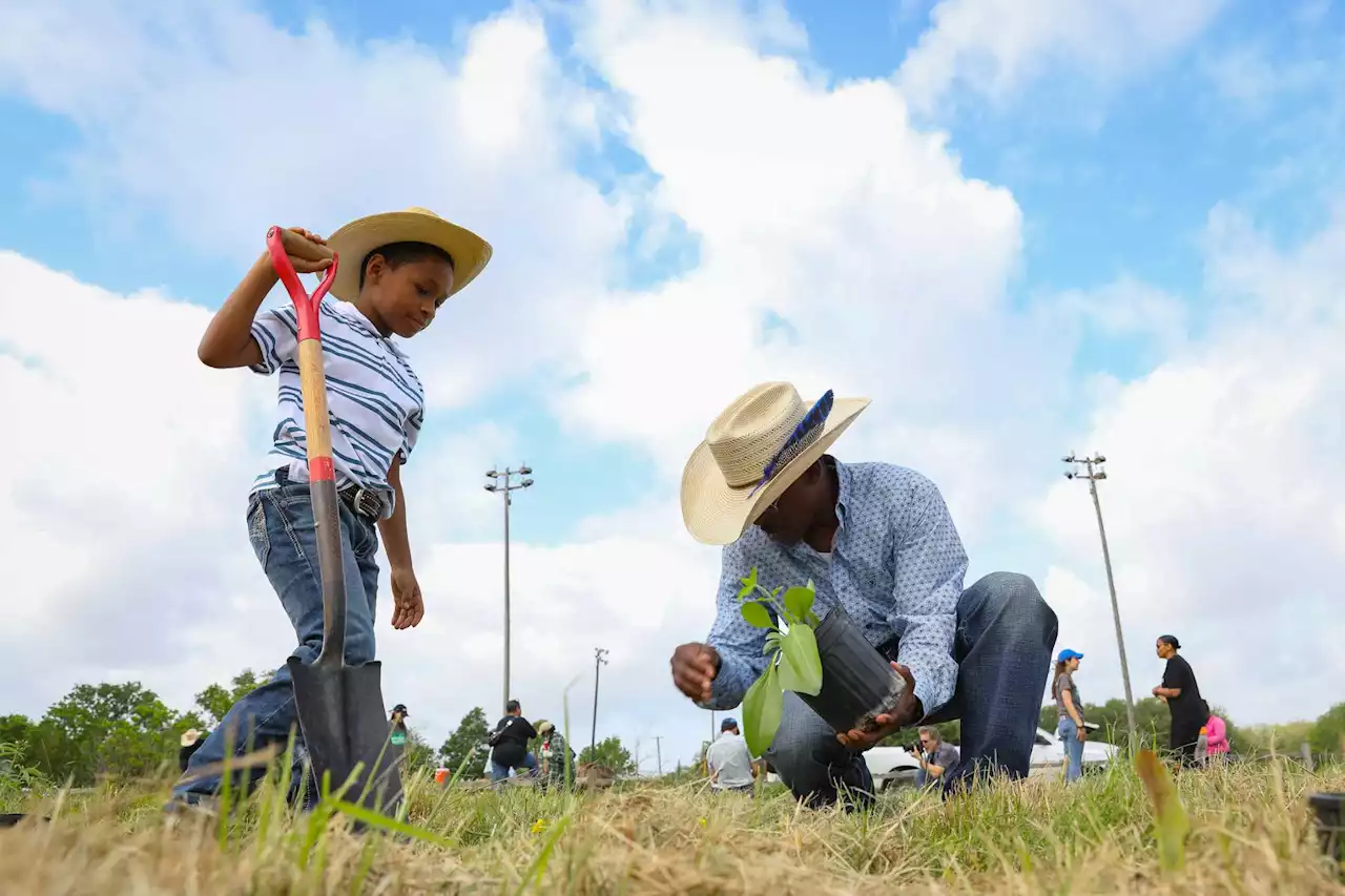 Volunteers planted seeds in Clinton Park. They’re hoping more than grass grows in neglected Black community.