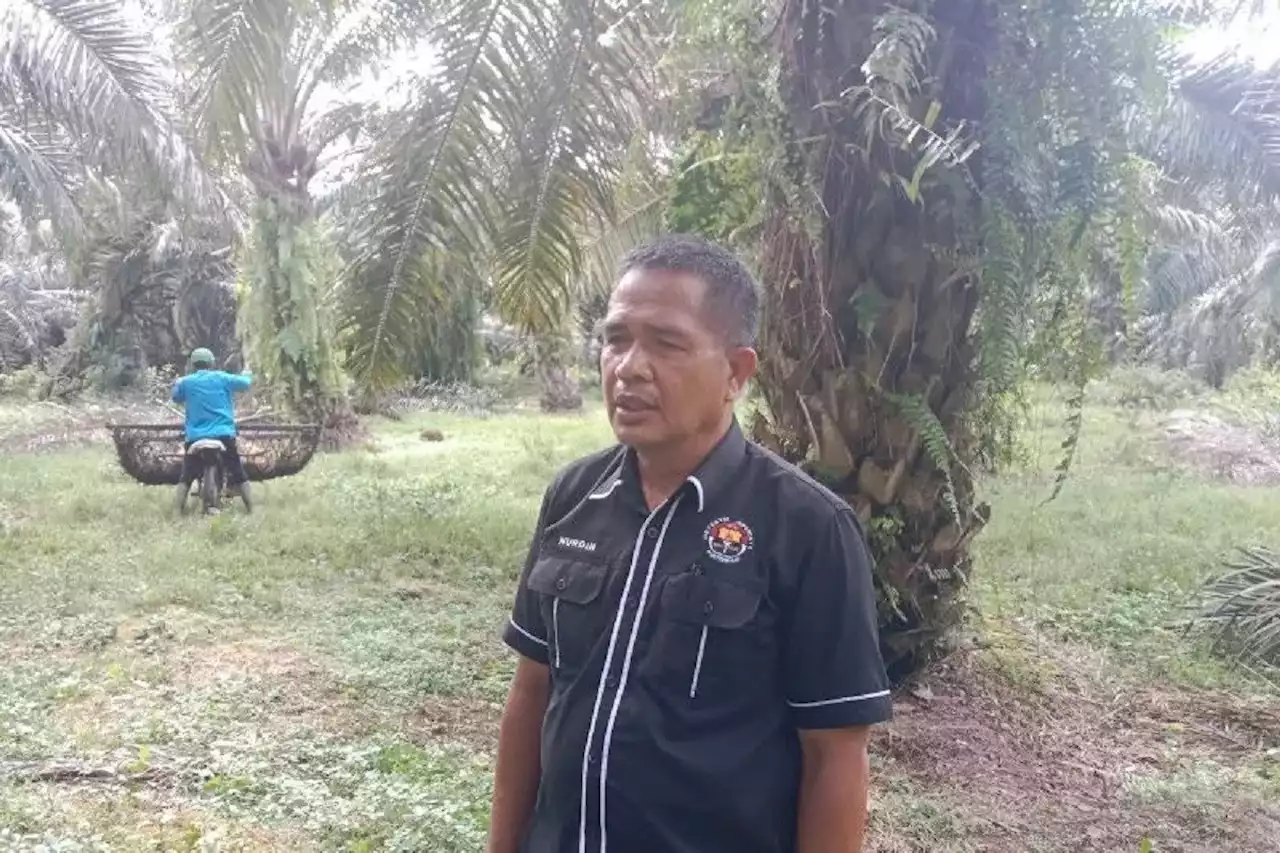 Inspiratif, Seorang Personel Polres Agam Membuka Lapangan Kerja untuk Masyarakat