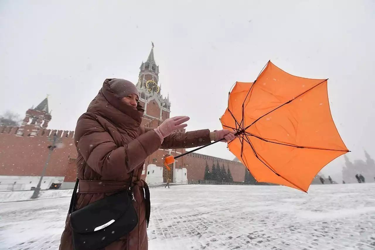 В 'Фобосе' предупредили, что в Центральной России в последнюю неделю апреля возможны снег и заморозки