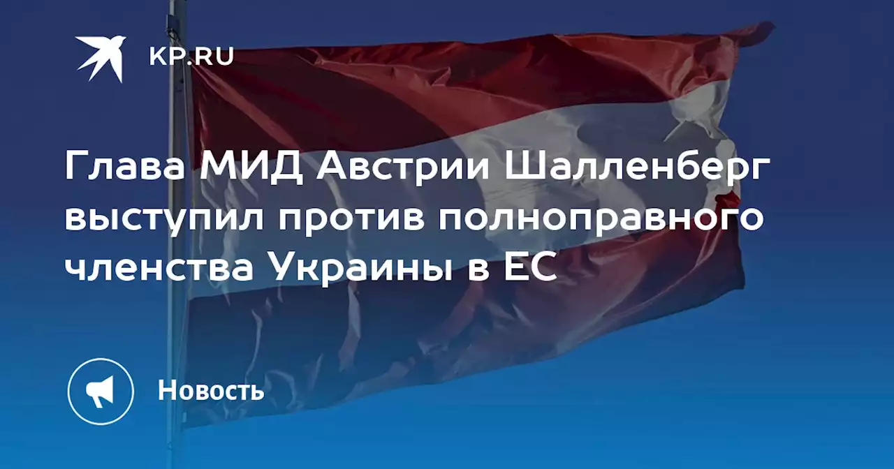 Глава МИД Австрии Шалленберг выступил против полноправного членства Украины в ЕС