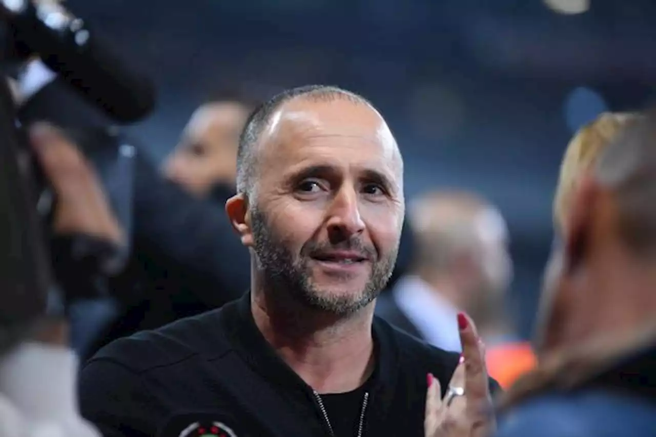 Djamel Belmadi reste sélectionneur de l'Algérie