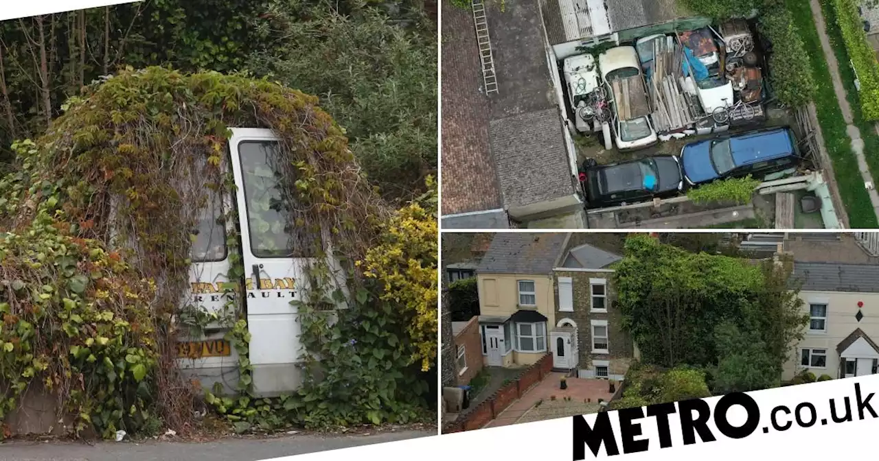 House engulfed in shrubs, trees and vines 'forces' neighbour to build new wall