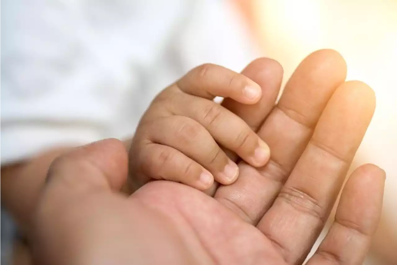 'Get your child immunised' - Gauteng health dept urges parents | News24