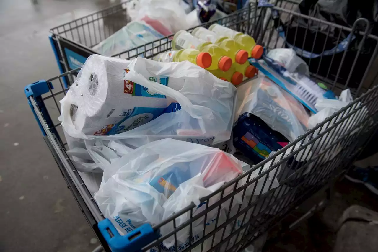 How groceries stores will handle your online order after the bag ban