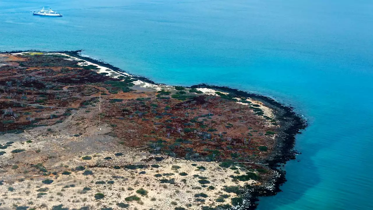 Schiff sinkt vor Galápagos-Inseln - Diesel tritt aus