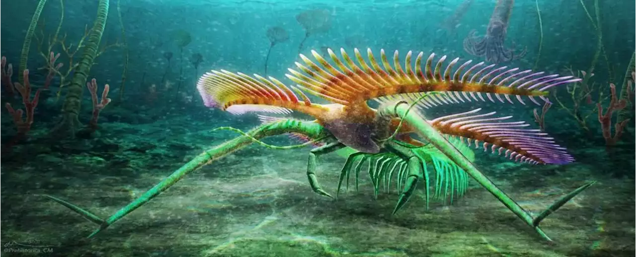 This Weird-Looking Aquatic Arthropod Didn't Have Eyes And Used 'Stilts' to Get Around