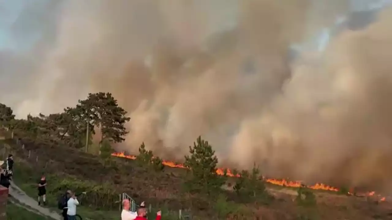 Dorset heath fire: 'Largest' blaze in years brought under control