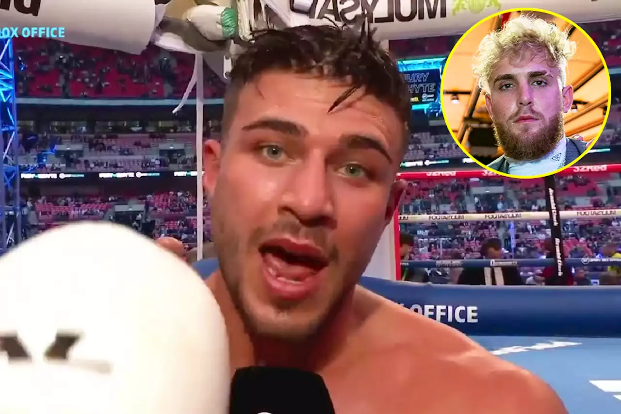 Tommy Fury floors foe with fearsome right hand and issues savage call-out to Jake Paul