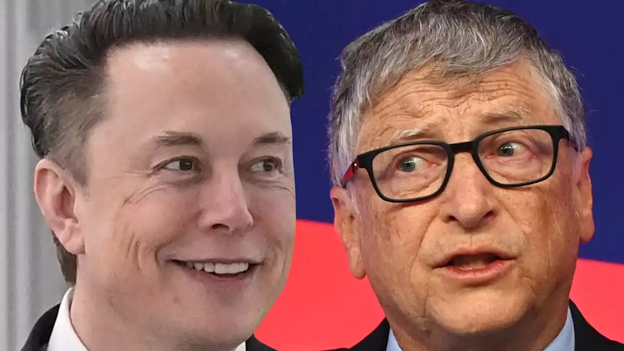 Elon Musk Makes Crude Bill Gates Joke, Angry Over Tesla Shorts