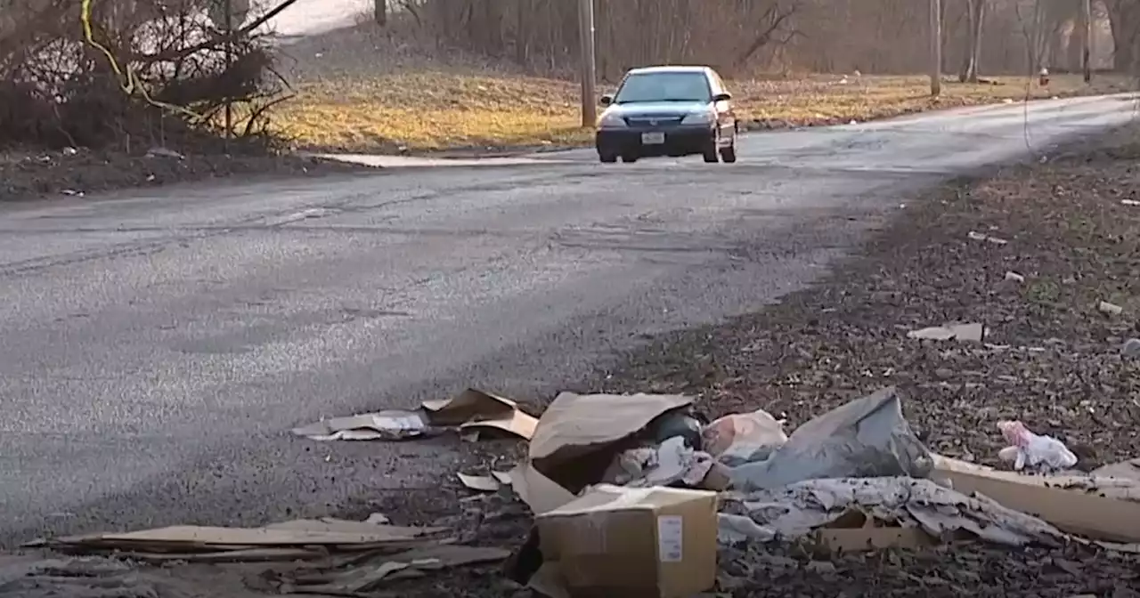 Why you should stop throwing trash out your window when driving