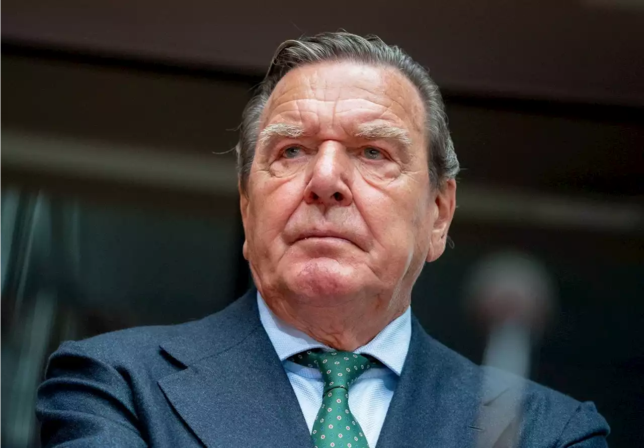 Die SPD und Gerhard Schröder