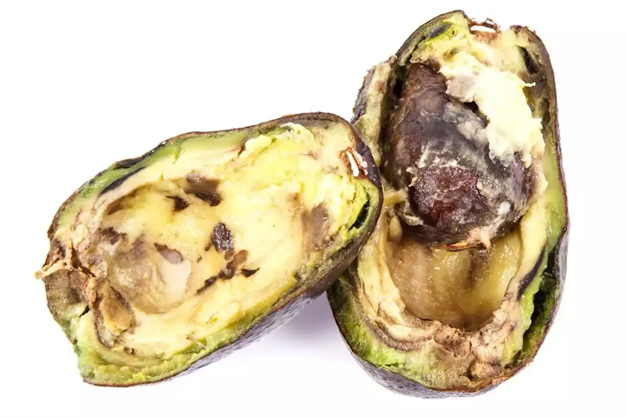 Black spots, plucked out stems, here’s how to spot stolen avocados | Businessinsider