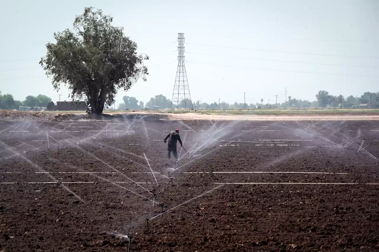 Cash for farmworkers? California lawmaker says new $20 million idea will help amid drought