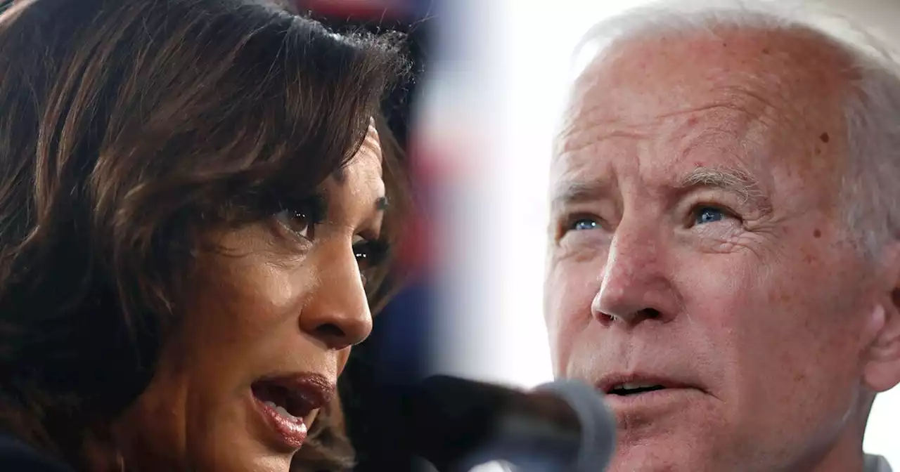 Biden suspected Kamala Harris team of sabotaging rivals during veep search