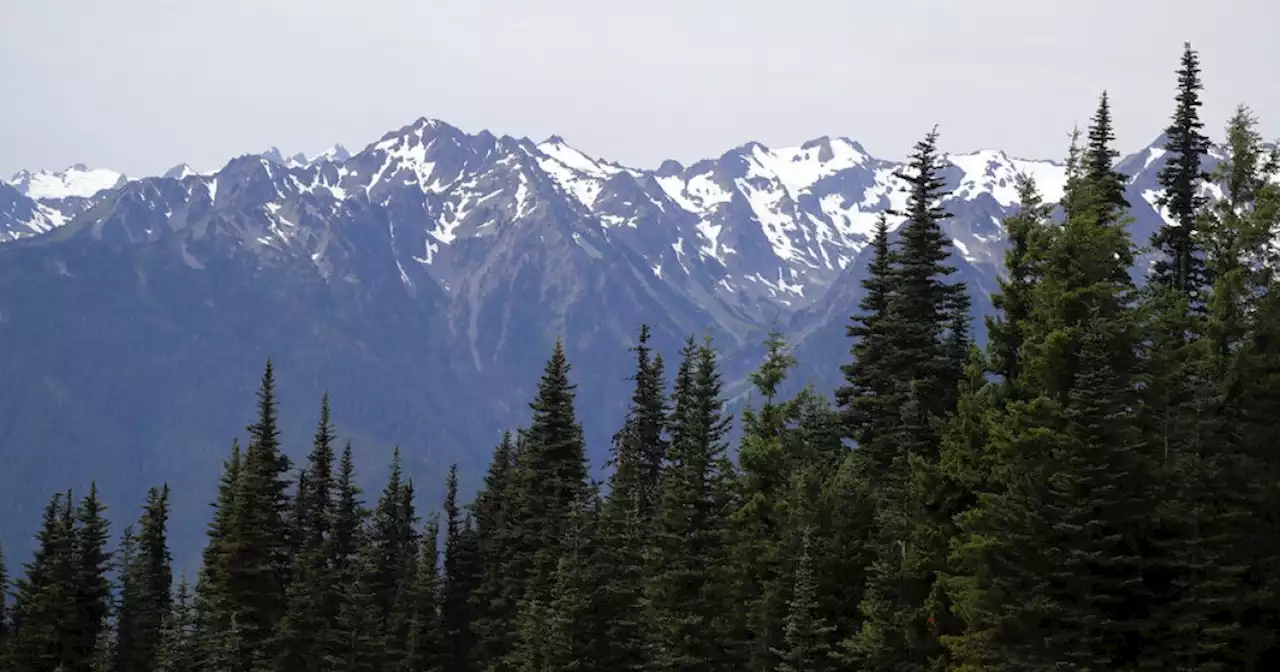 Woman rescued from Washington national park toilet after falling in to get phone