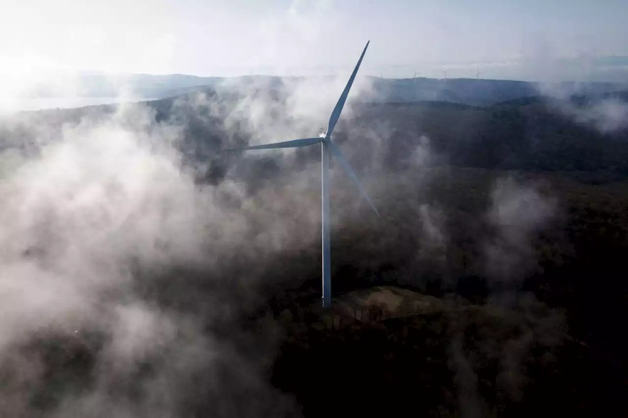 Newfoundland looks to wind power to broaden its energy mix