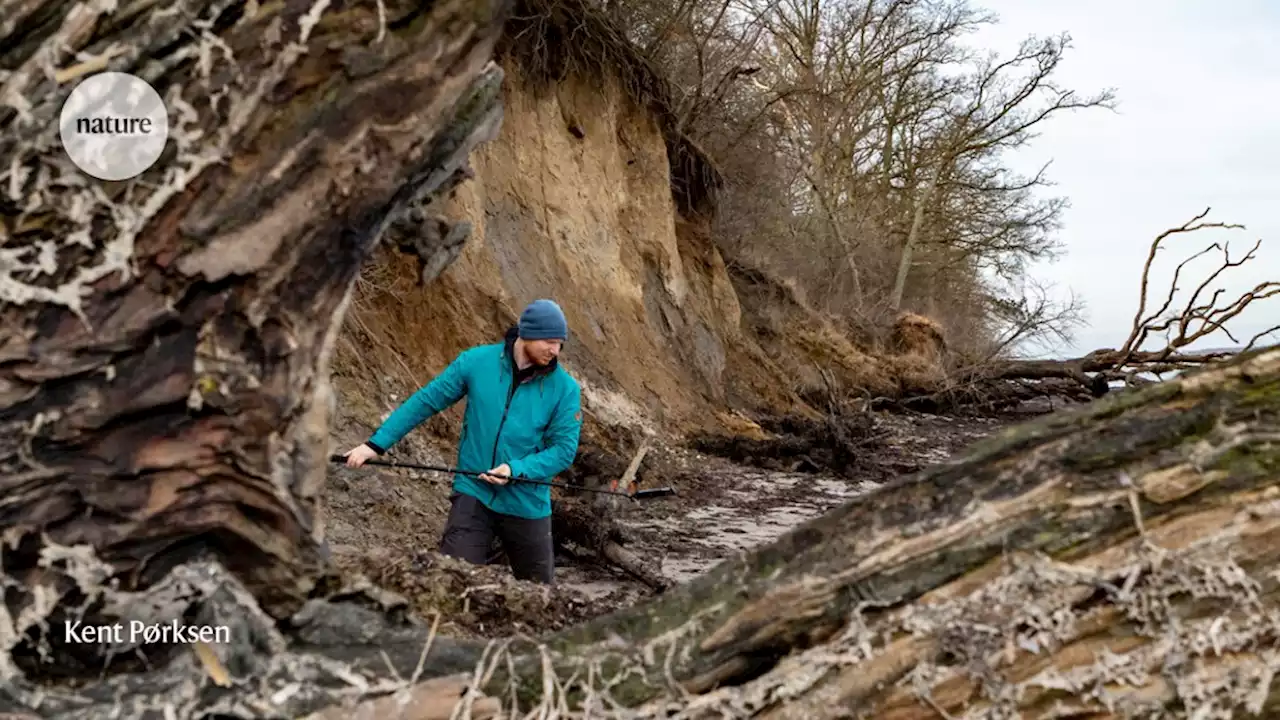 Cliff falls: using a smartphone to track erosion