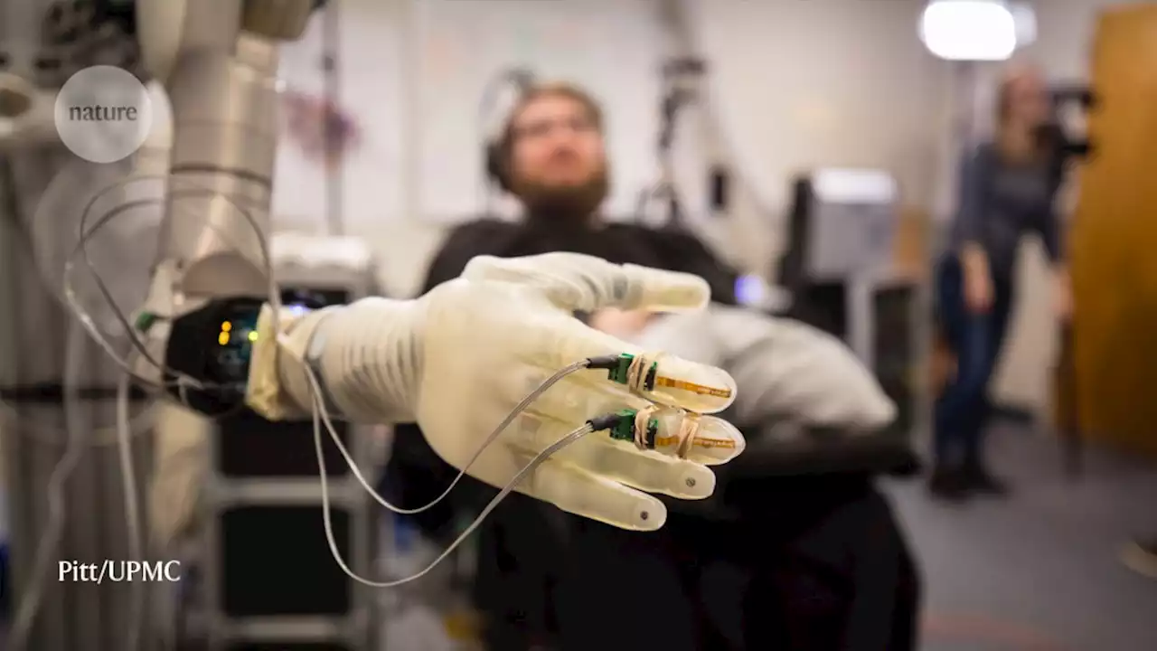 The brain-reading devices helping paralysed people to move, talk and touch