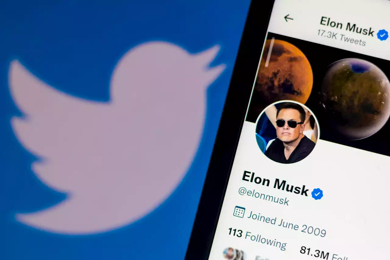 Twitter Shares Jump 3% on Reports It Could Accept Elon Musk's Bid as Early as Monday