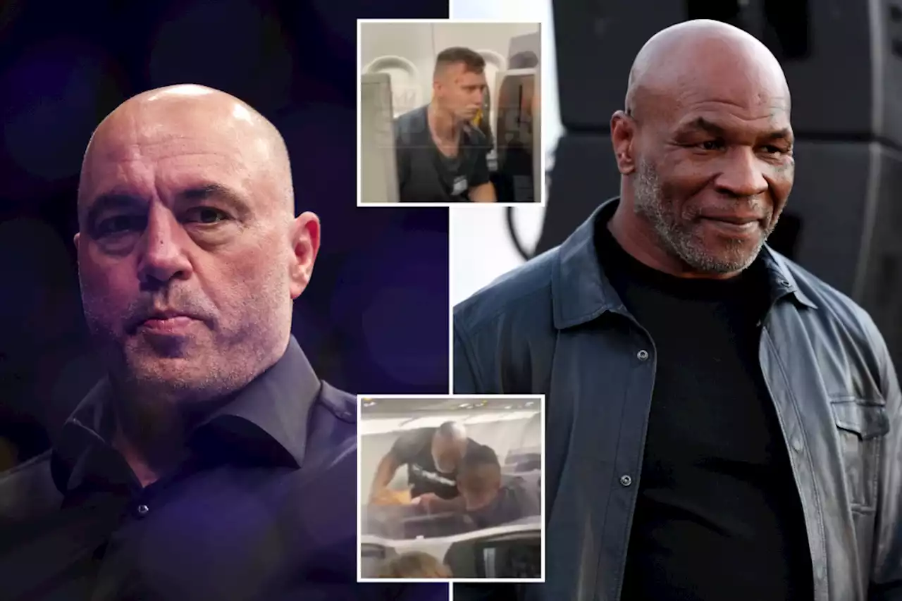 Joe Rogan thinks plane passenger punched by Mike Tyson was ‘headbutting a beehive’