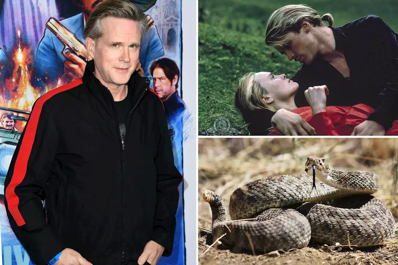 Cary Elwes airlifted to hospital after scary rattlesnake bite