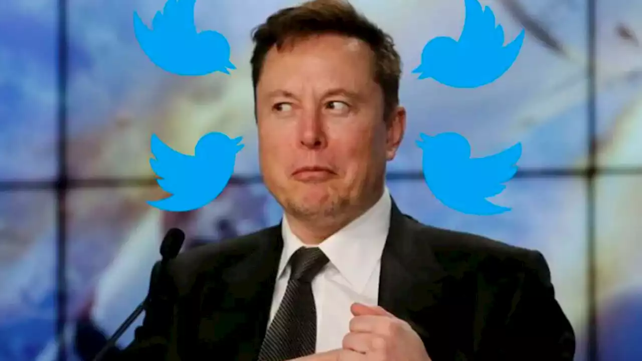 Elon Musk compró Twitter: pagará menos de lo que Argentina le debe al FMI | Una de las adquisiciones de internet más grandes de la historia