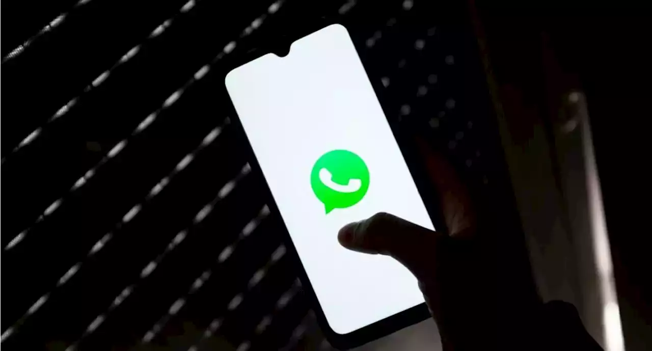 Truco de WhatsApp: así podrá chatear con contactos que no tenga guardados - Pulzo