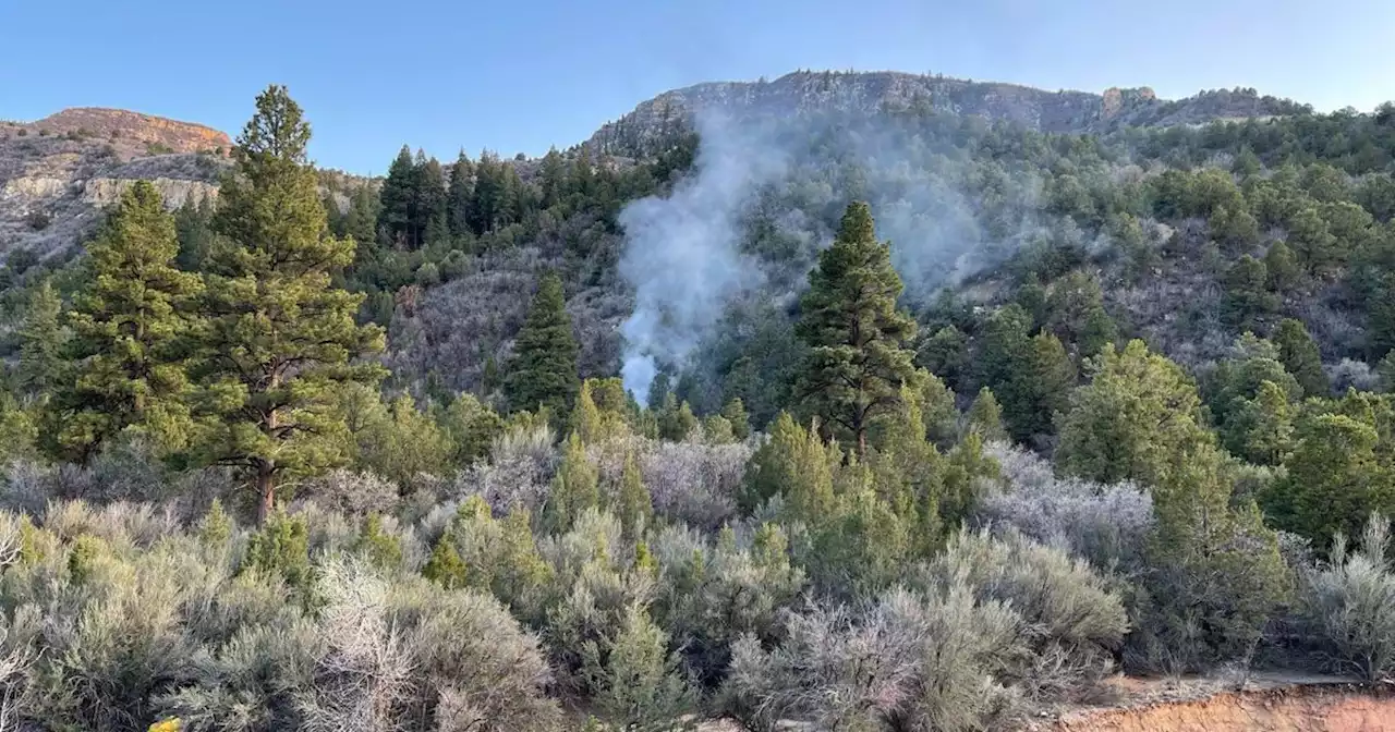 Four dead in plane crash near Cedar City