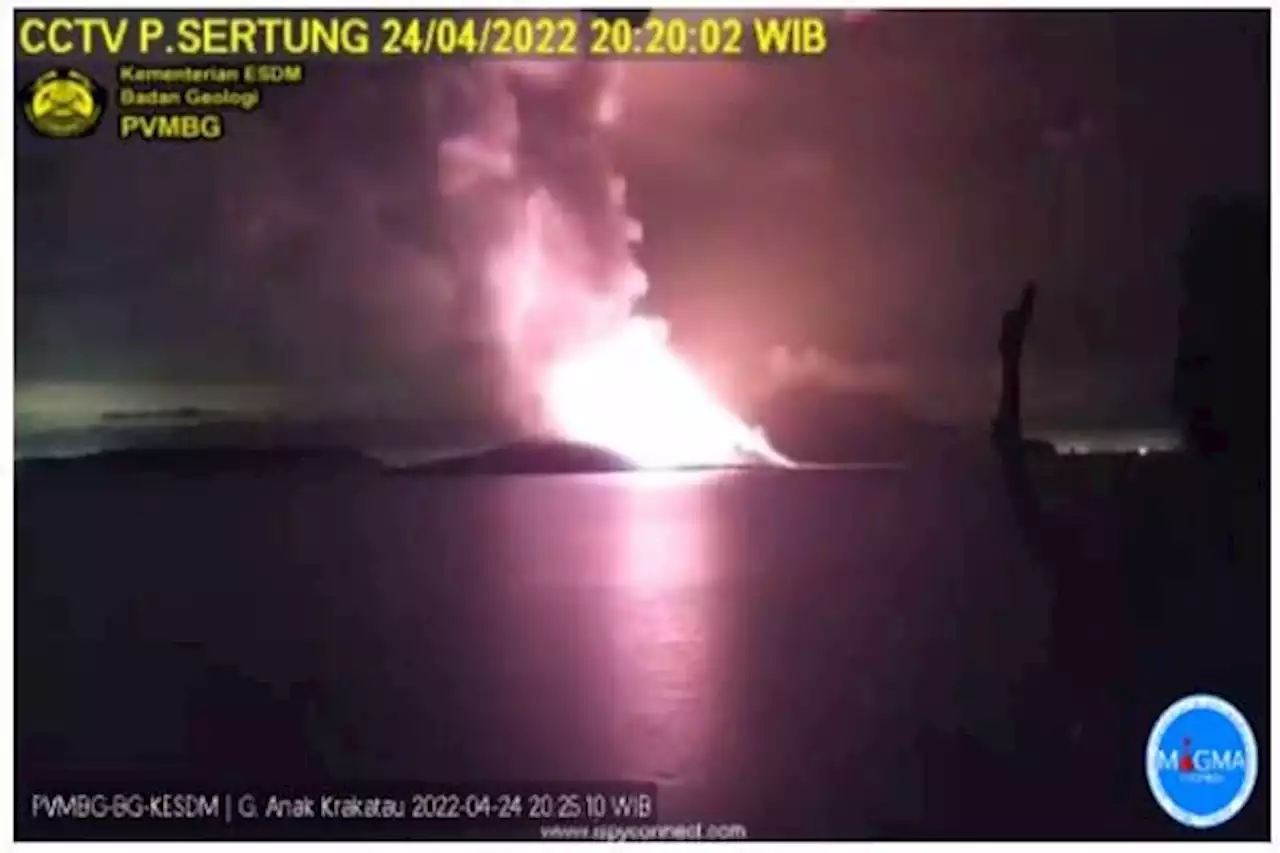 Erupsi Terus Terjadi, Status Gunung Anak Krakatau Naik Jadi Siaga