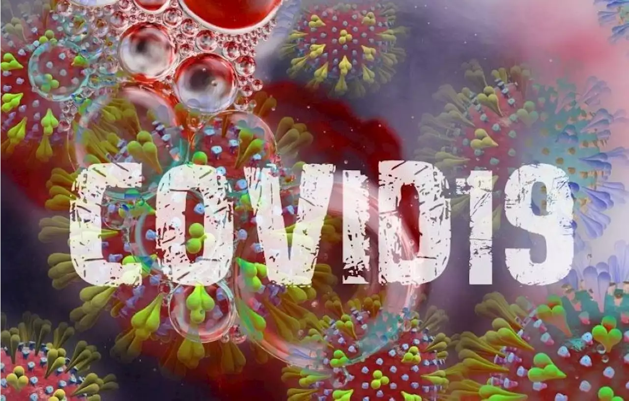 Covid-19: New cases in Sabah drop below 50