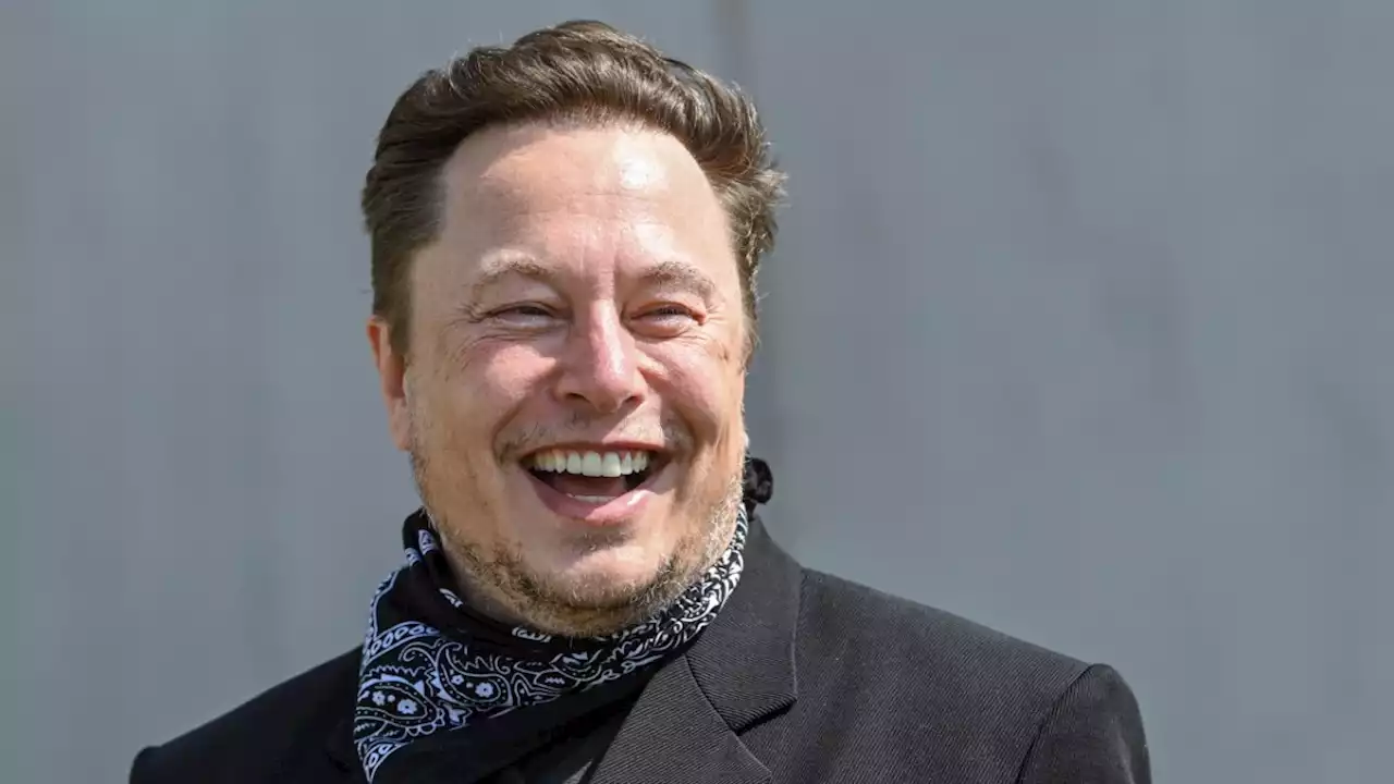 Twitter stimmt Übernahme durch Elon Musk zu