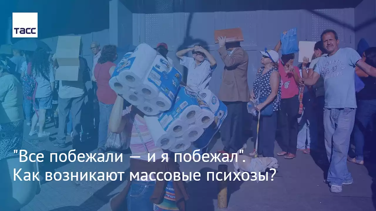 'Все побежали — и я побежал'. Как возникают массовые психозы?