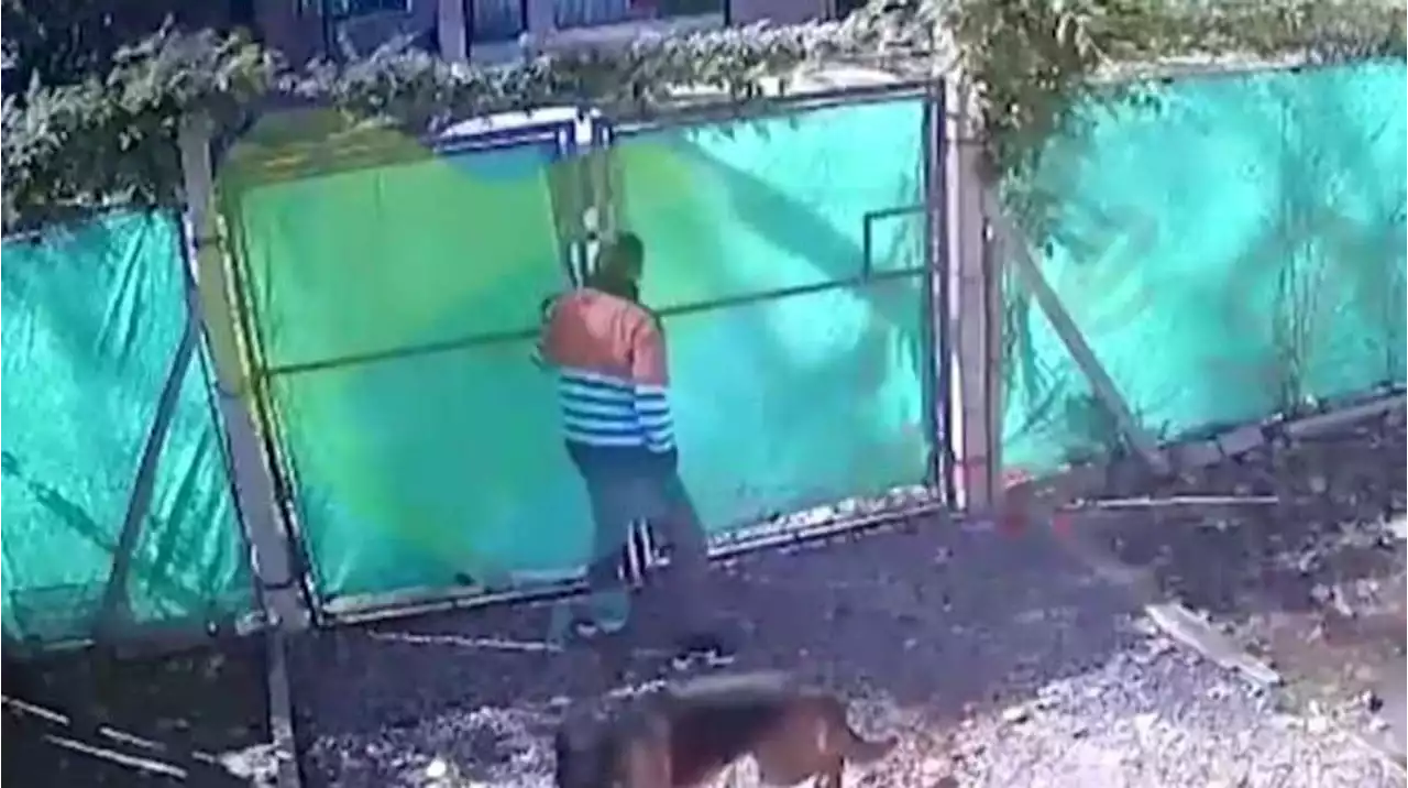 Video: tres delincuentes ingresaron a una vivienda y le dispararon al dueño para robarle