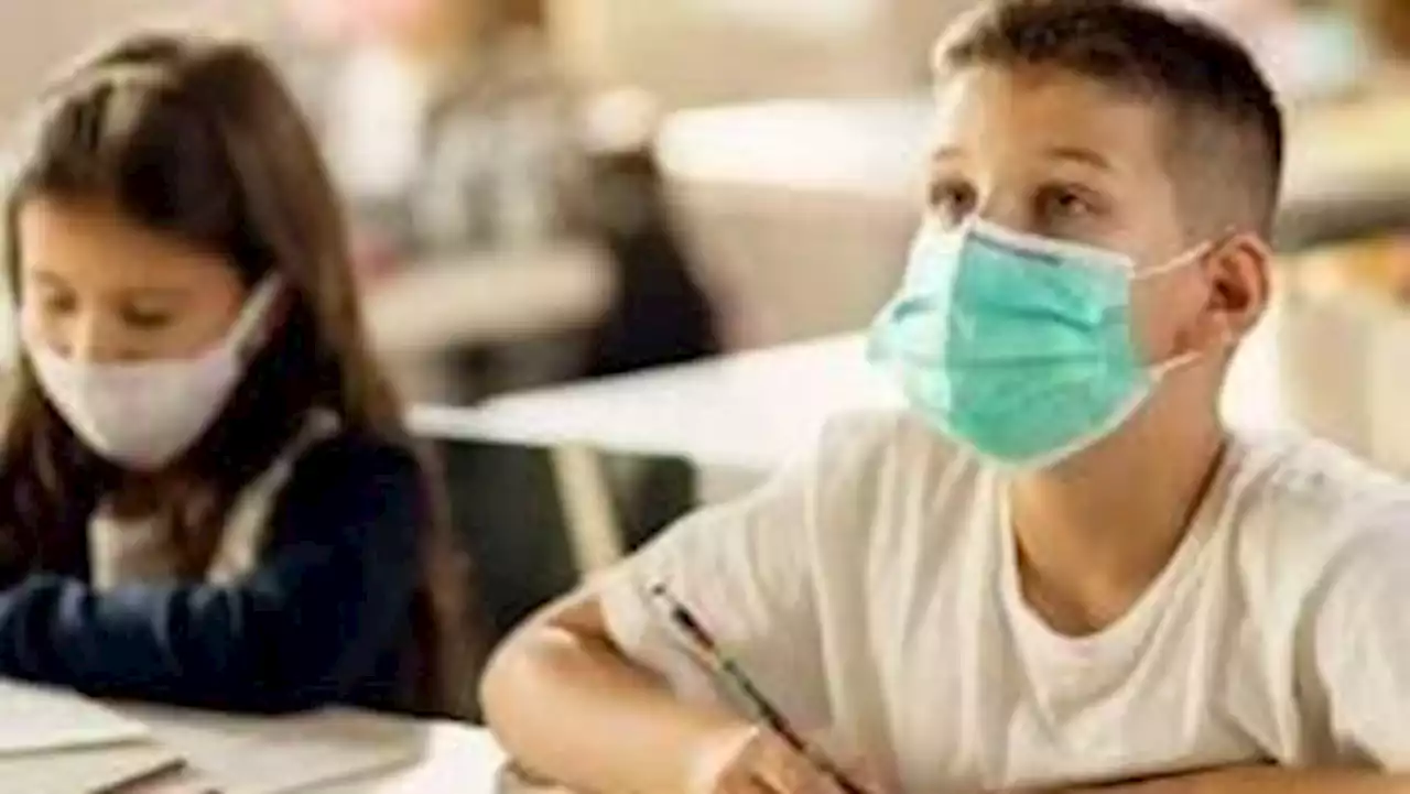 Classroom test scores were already dropping in early 2020—then the pandemic happened