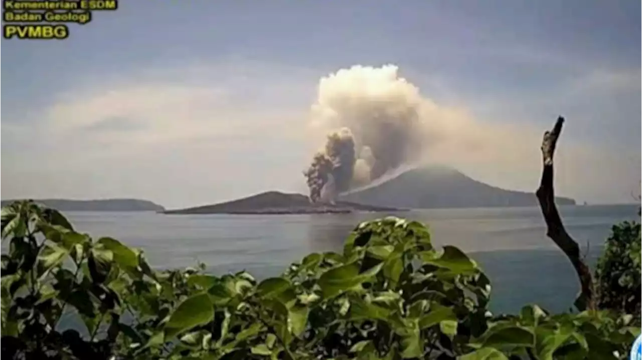 BMKG Imbau Pengelola Usaha-Pemda Siaga Setelah Gunung Anak Krakatau Berstatus Level 3