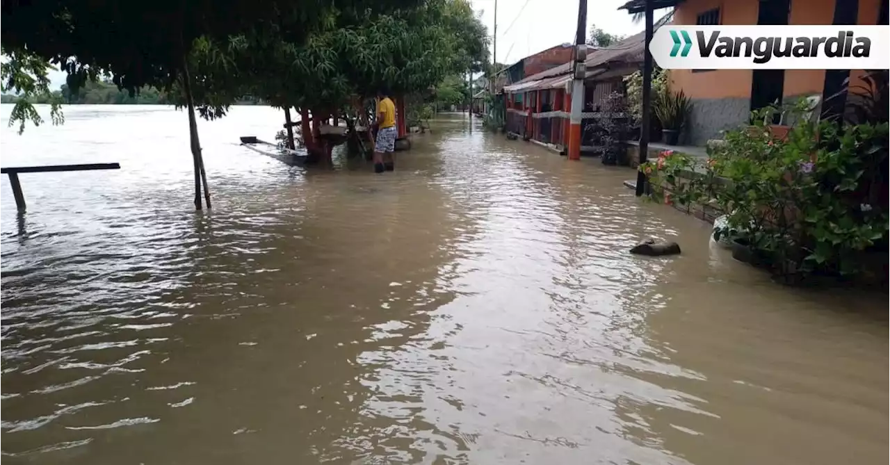 En Caucasia, el río Cauca se desbordó y el agua les llega hasta la cintura