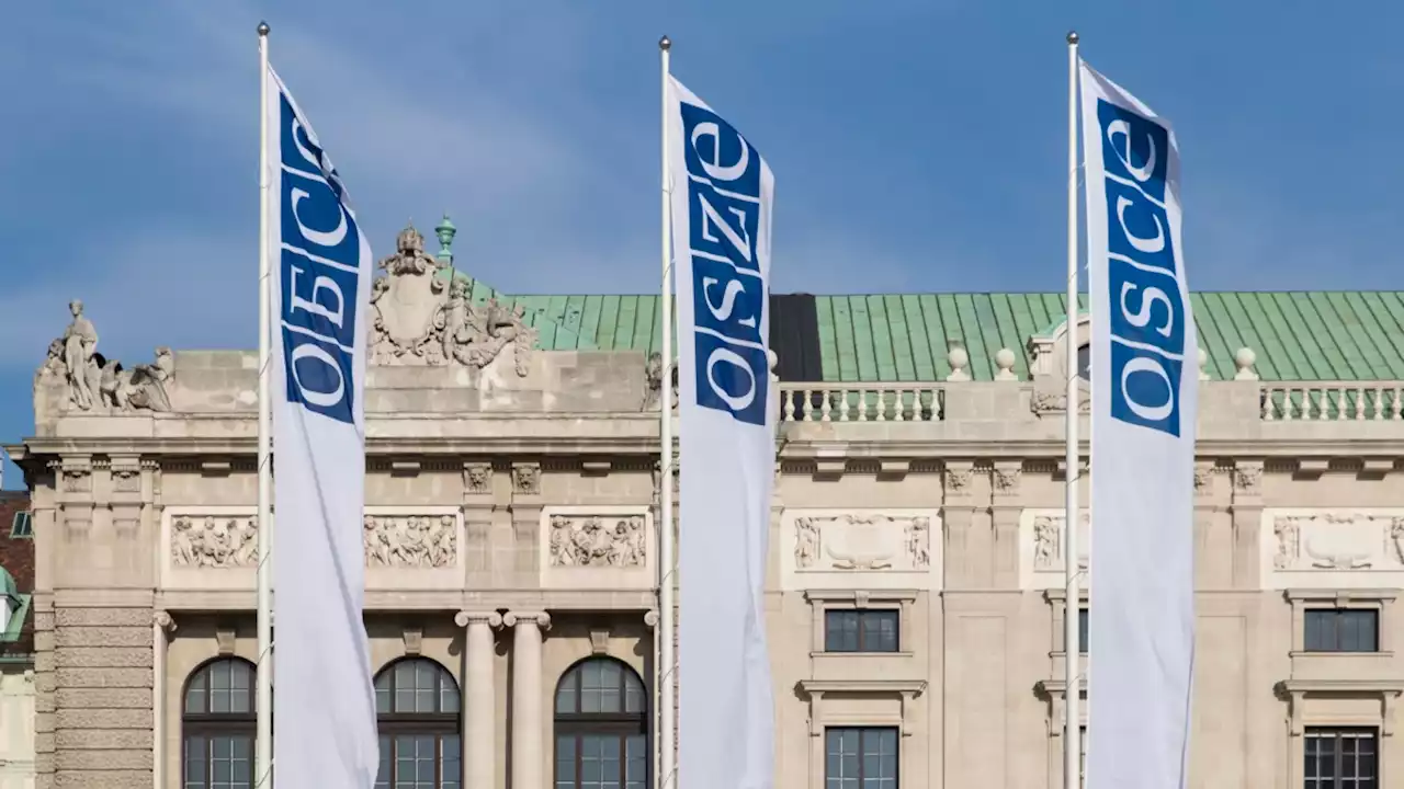 OSCE Serukan Pembebasan Anggotanya di Wilayah Separatis di Ukraina