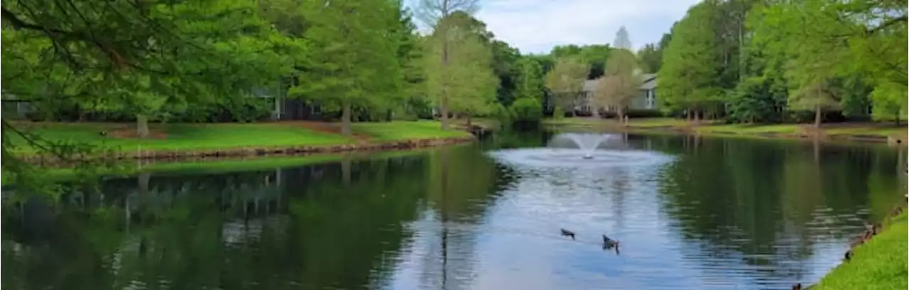 A surprising climate change contributor: retention ponds that reduce flooding