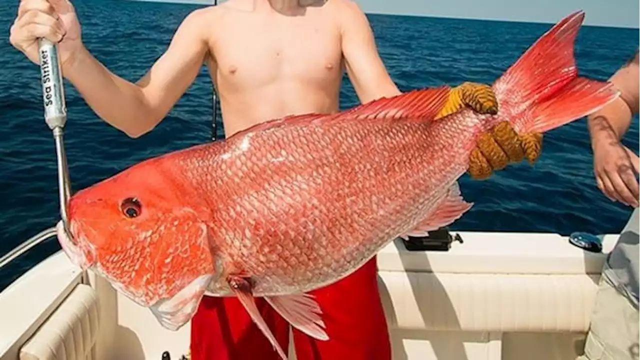 Florida extends red snapper season