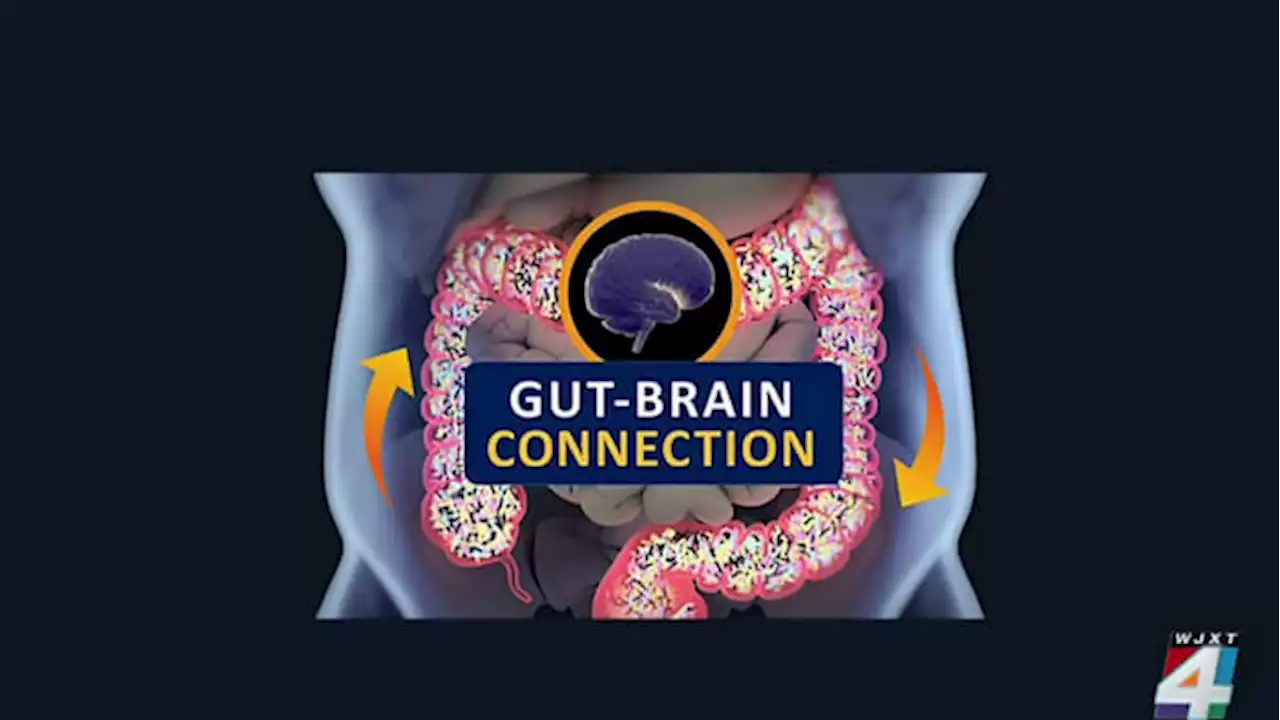 The ‘gut-brain’ connection: Microbiomes for an aging brain