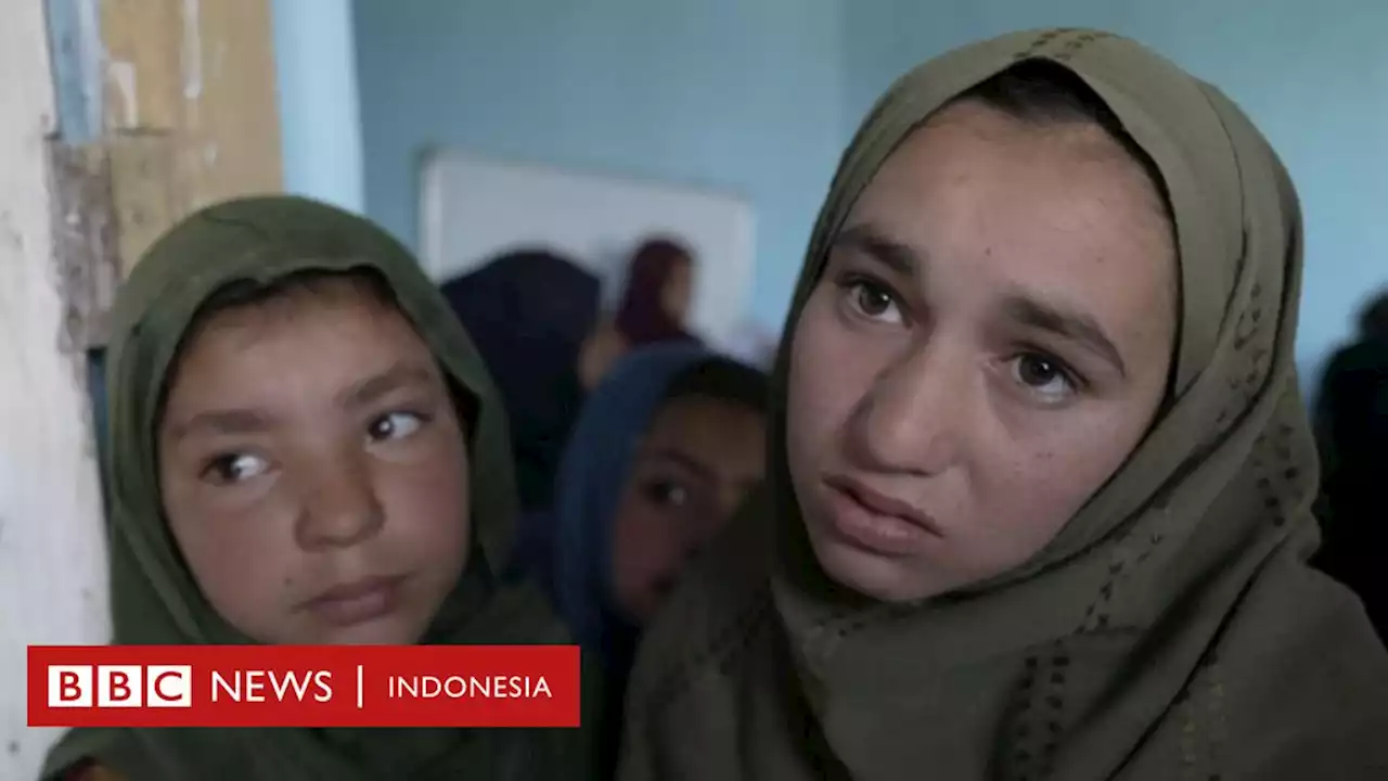 Ekonomi Afghanistan ambruk, keluarga miskin makin kesulitan bertahan hidup - BBC News Indonesia