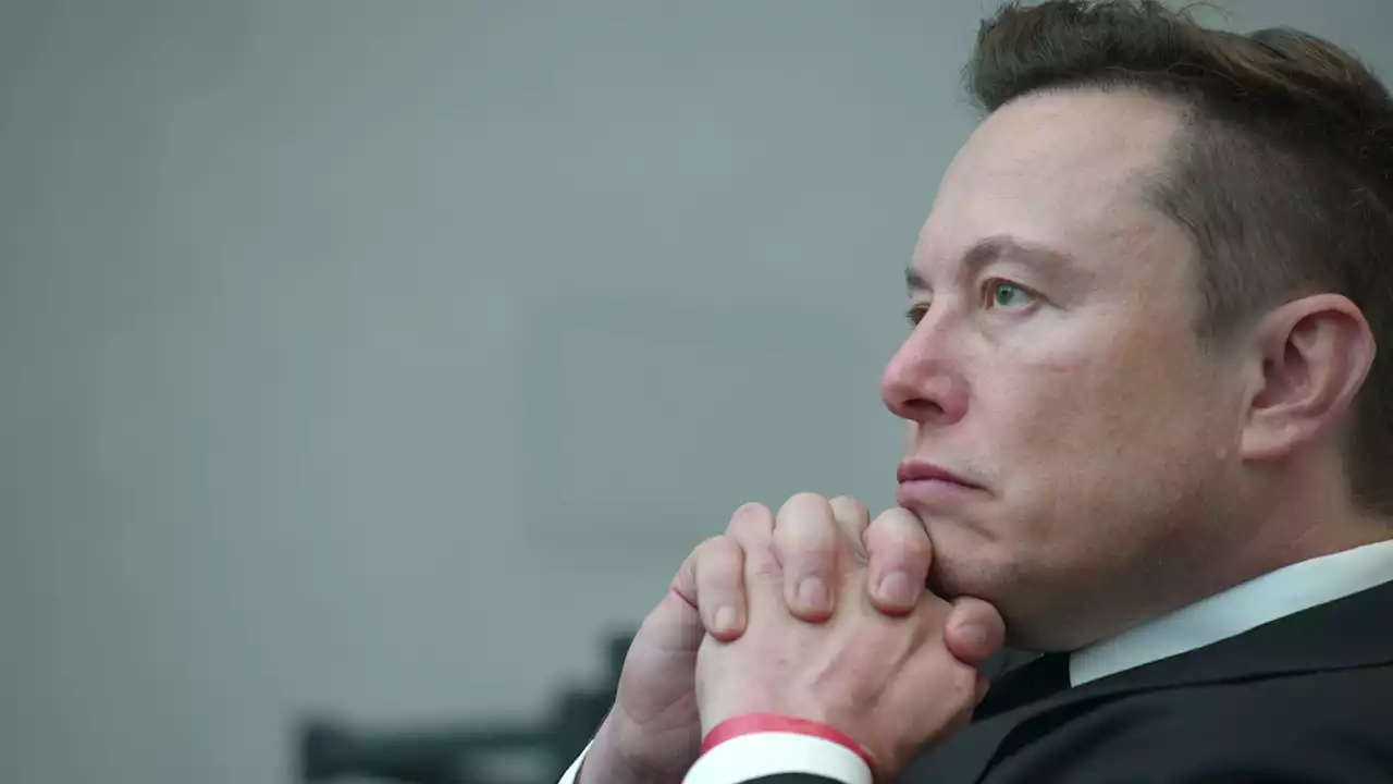 Elon Musk makes people come unhinged so fast it's kind of hilarious